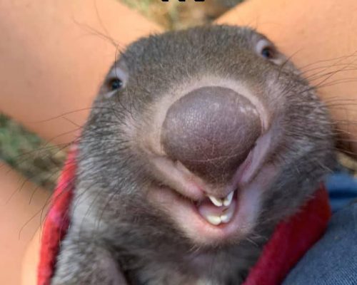 Szczęśliwego 2022!